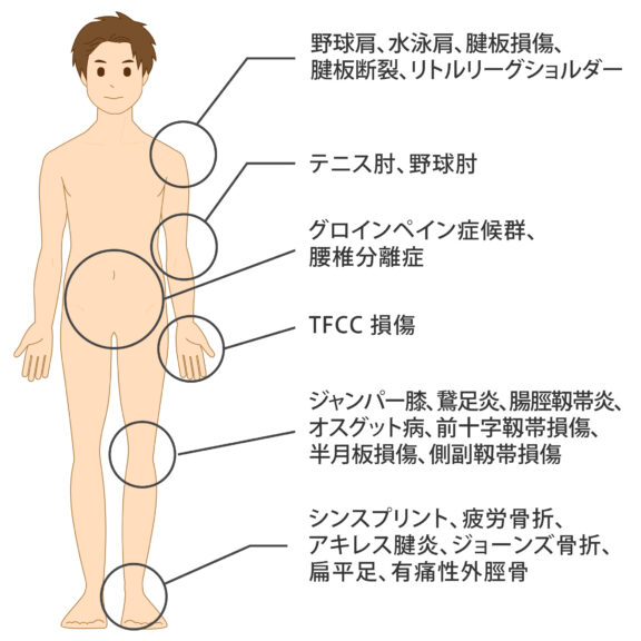 拡大イメージ